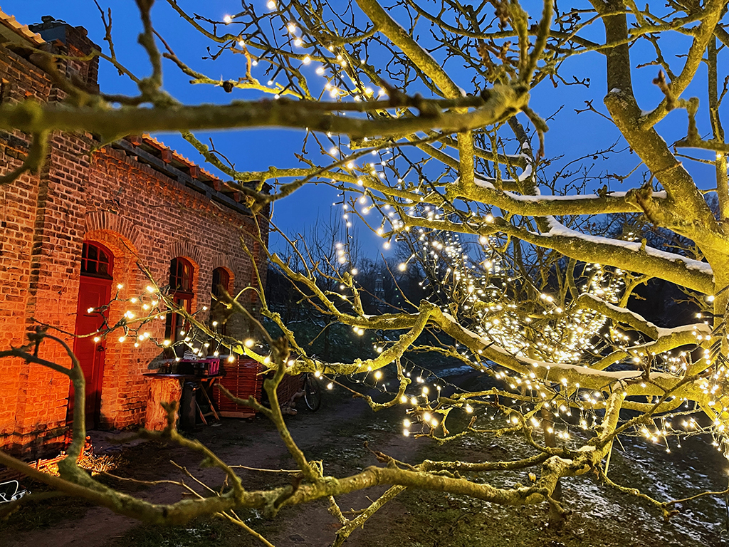 Potsdamer WEINnacht Königlicher Weinberg